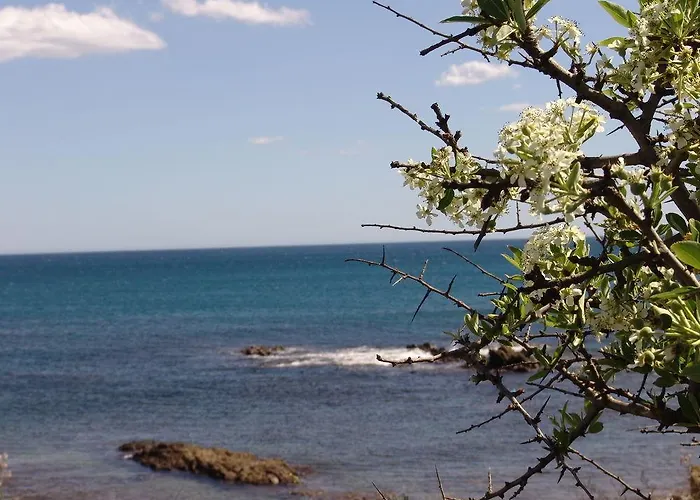 別荘 Le Residenze Di Porto Corallo
