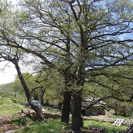 בית נופש Le Residenze Di Porto Corallo וילאפוצו