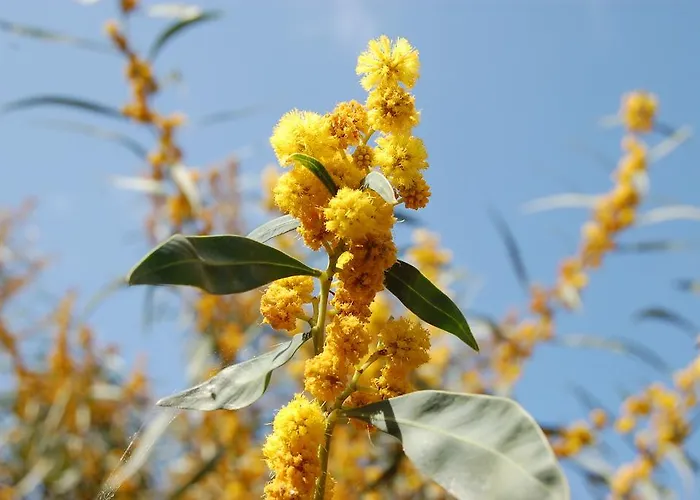 Le Residenze Di Porto Corallo *