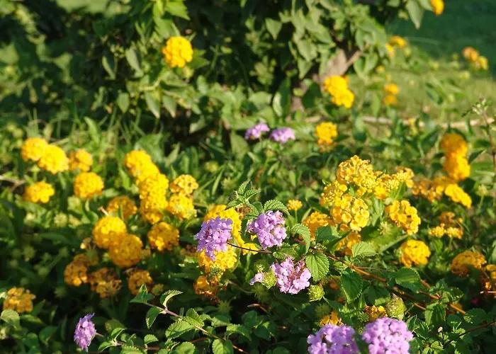 Дом отдыха Le Residenze Di Porto Corallo