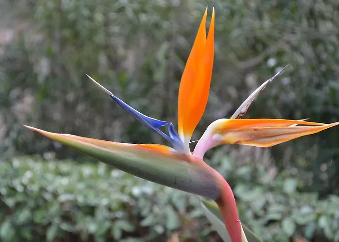 Le Residenze Di Porto Corallo Дом отдыха *