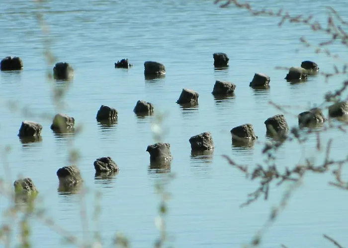 Дом отдыха Le Residenze Di Porto Corallo *