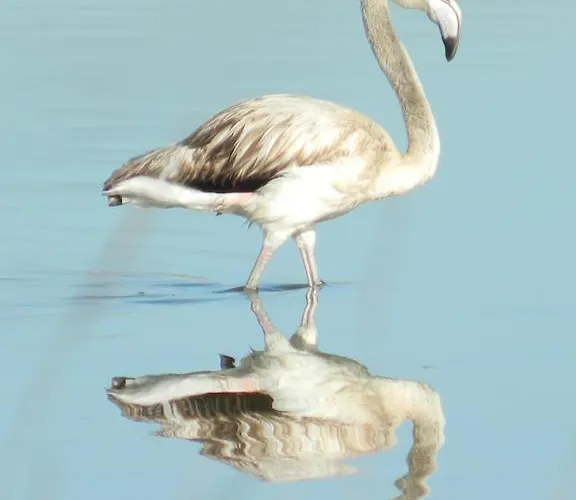 Le Residenze Di Porto Corallo Дом отдыха Виллапутцу