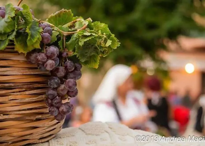 Дом отдыха Le Residenze Di Porto Corallo Виллапутцу